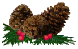 pinecn4.gif - 9.0 K